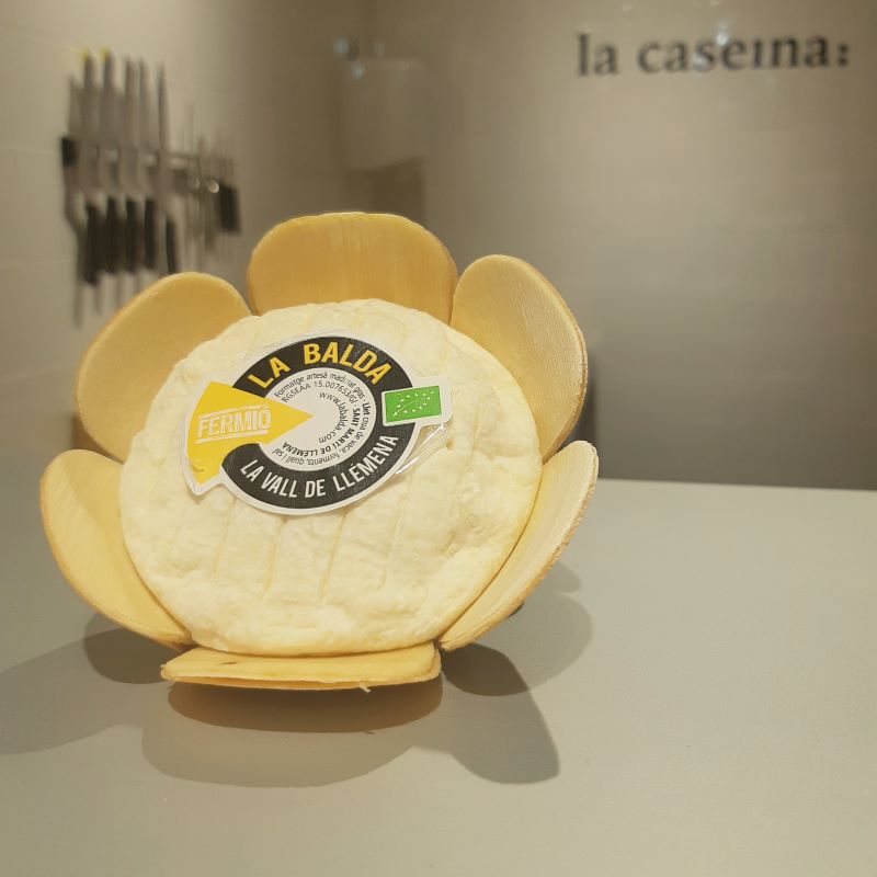 Fermió