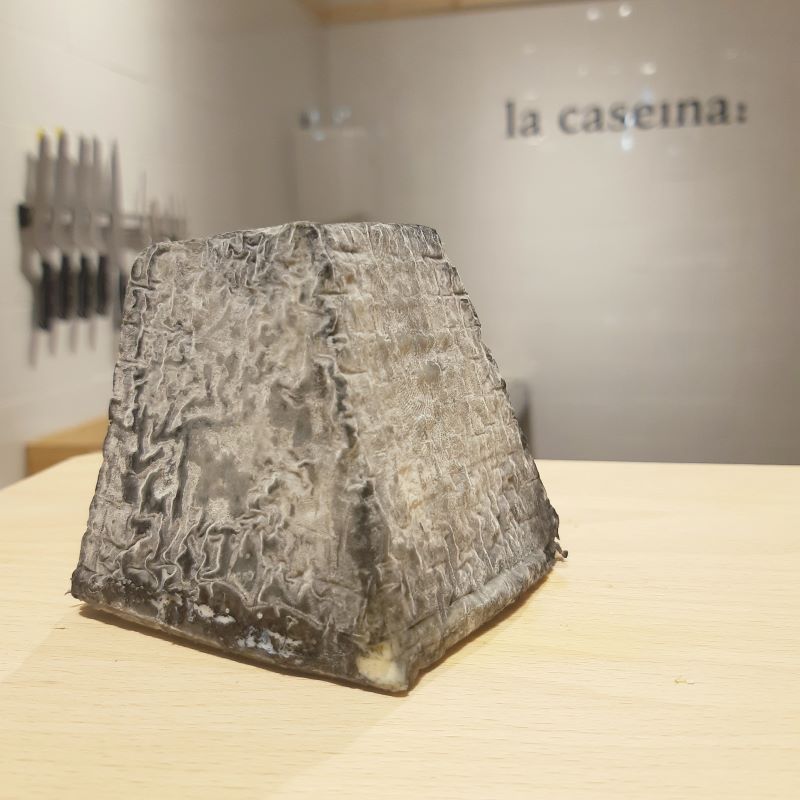 L'Obaga Negra